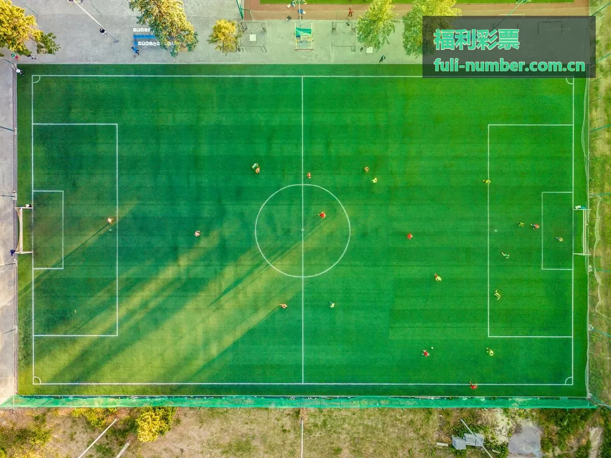 福利彩票开奖结果实时查询
